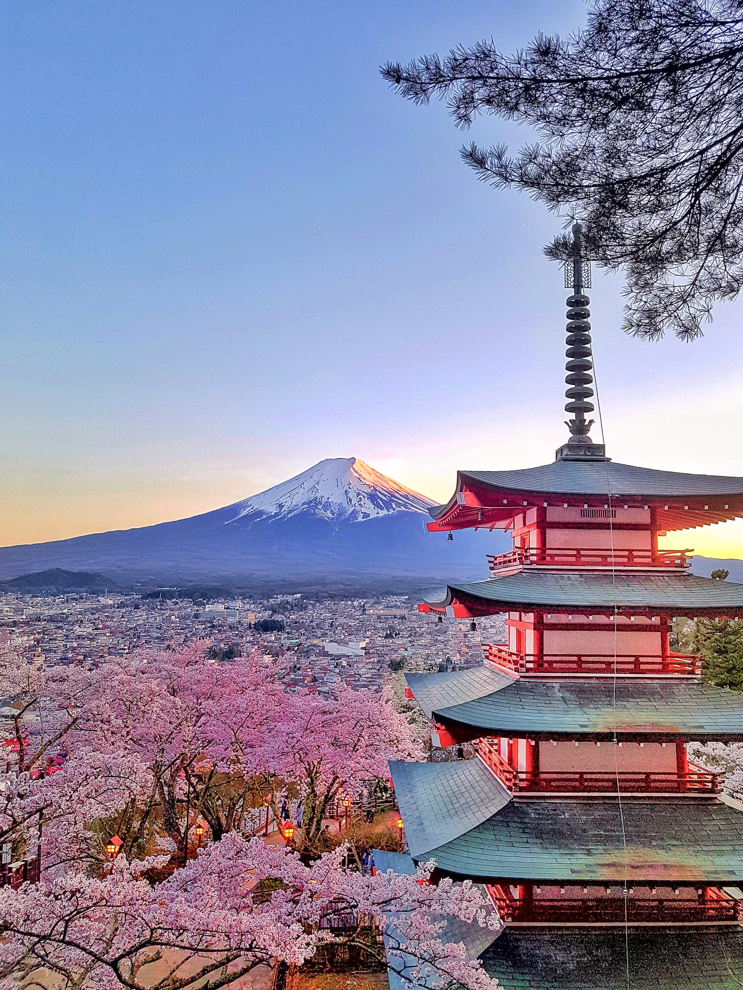 Teaching and daily life research for Japan